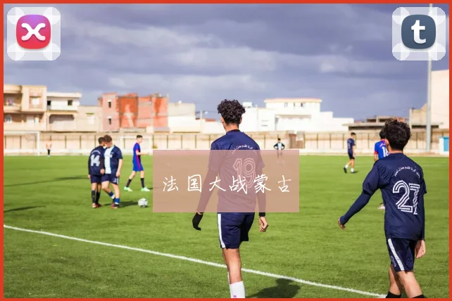 法国大战蒙古