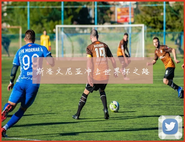 斯洛文尼亚冲击世界杯之路