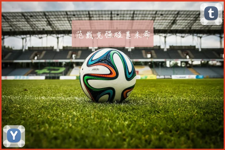 范戴克强碰基米希