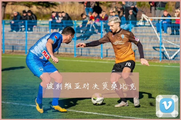 玻利维亚对决莫桑比克