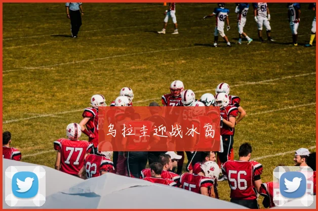 乌拉圭迎战冰岛